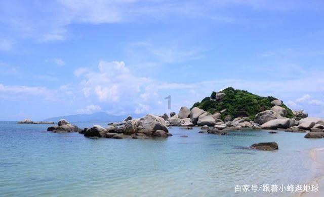 白孔雀救援